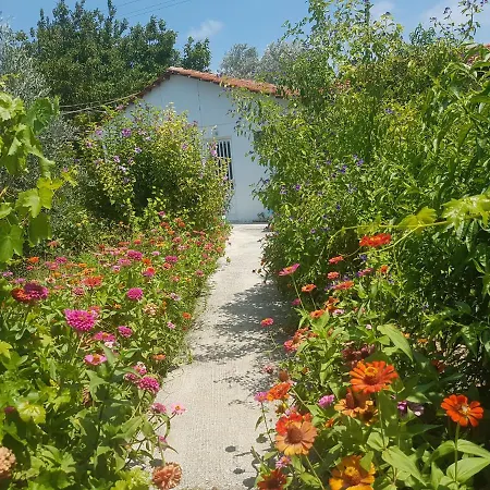 左伊旅馆 科林比亚