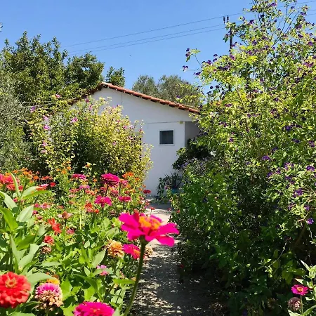 Apartmán Zoi Kolymbia