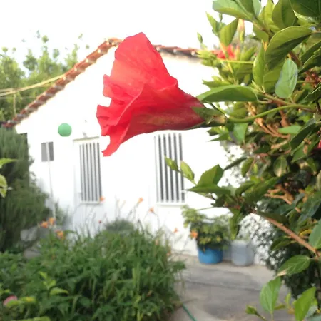Zoi Apartmán *