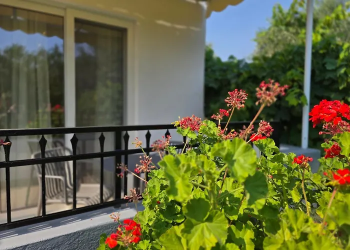 Zoi דירה קולימביה