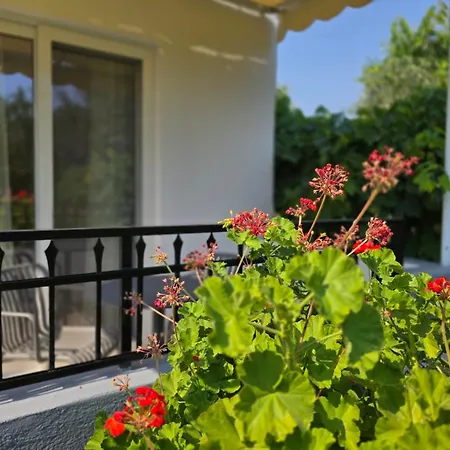 Zoi Apartmán Kolymbia