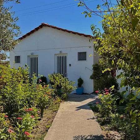 Apartmán Zoi Kolymbia