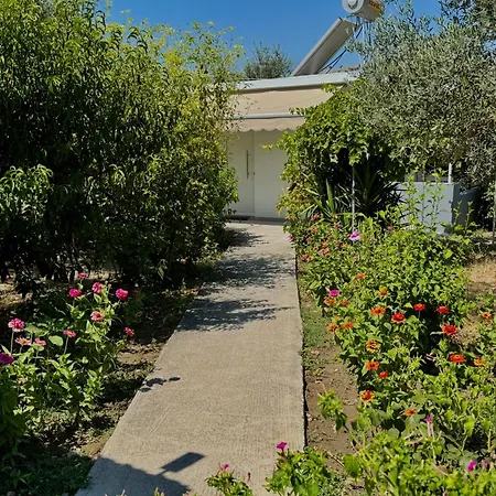 Apartmán Zoi Kolymbia