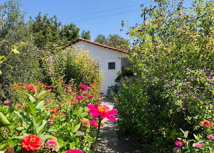 Apartmán Zoi Kolymbia