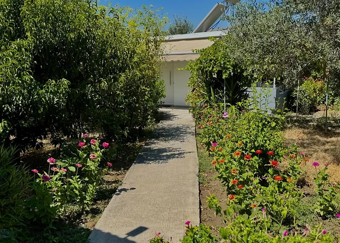 Apartmán Zoi Kolymbia